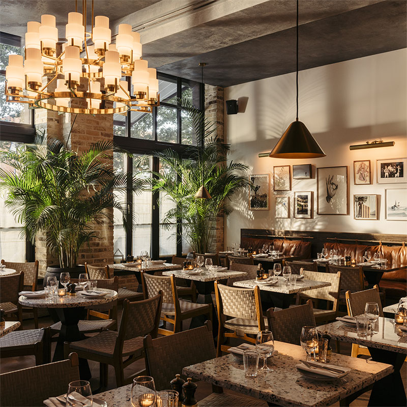 Interior of Albie showing warm lighting and tall plants behind empty tables set for diners